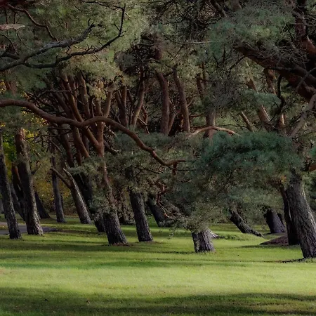 Апартаменты Tammsaare Luxury *