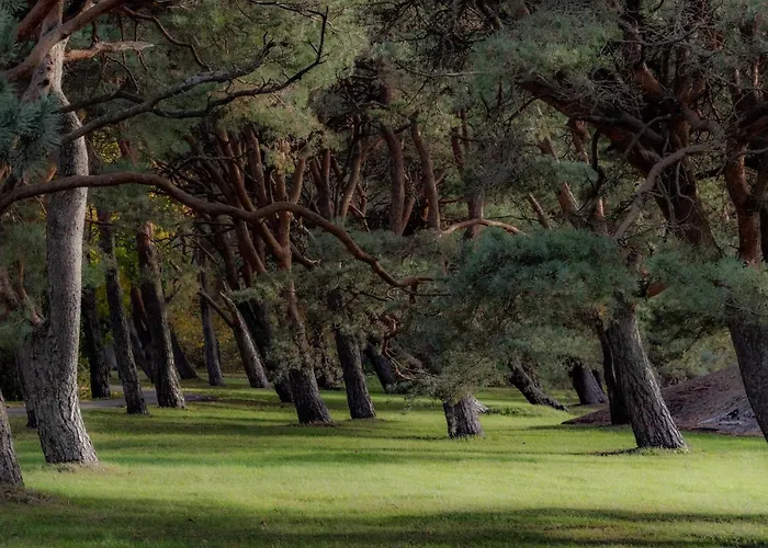 Апартаменты Tammsaare Luxury *